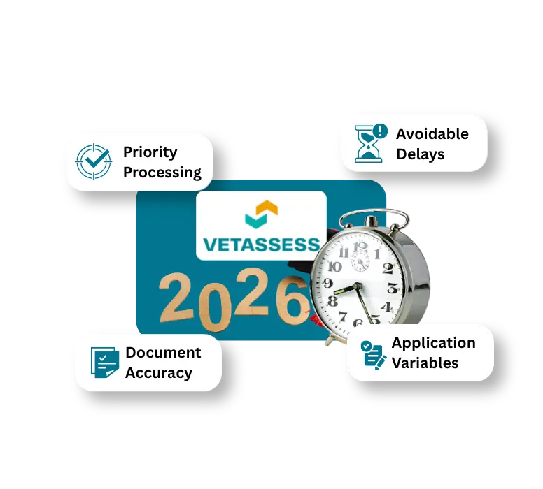 VETASSESS 2026 icons for priority processing, document accuracy, avoidable delays, and application variables